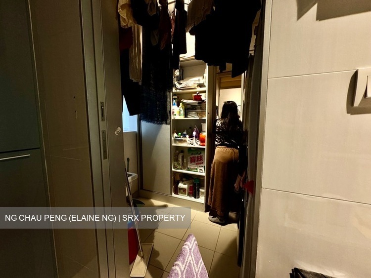 St. Regis Residences (D10), Apartment #538986961